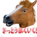 高めるむくちゃん　l  技術士（化学部門） l DX推進（企業変革） l  渉外