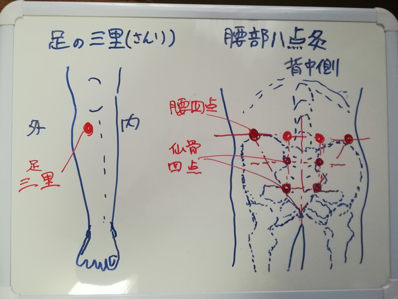 誰にもすぐ役立つお灸療法―不老長寿健康の秘訣 (1959年) 田代