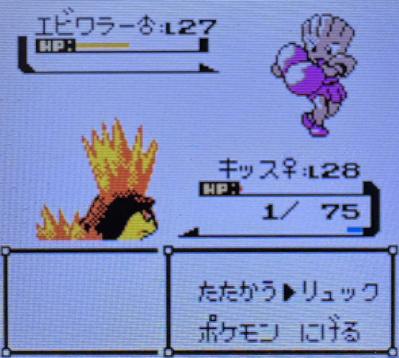 ポケモン金銀】御三家3体で最小戦闘回数攻略(＋ポケセン禁止