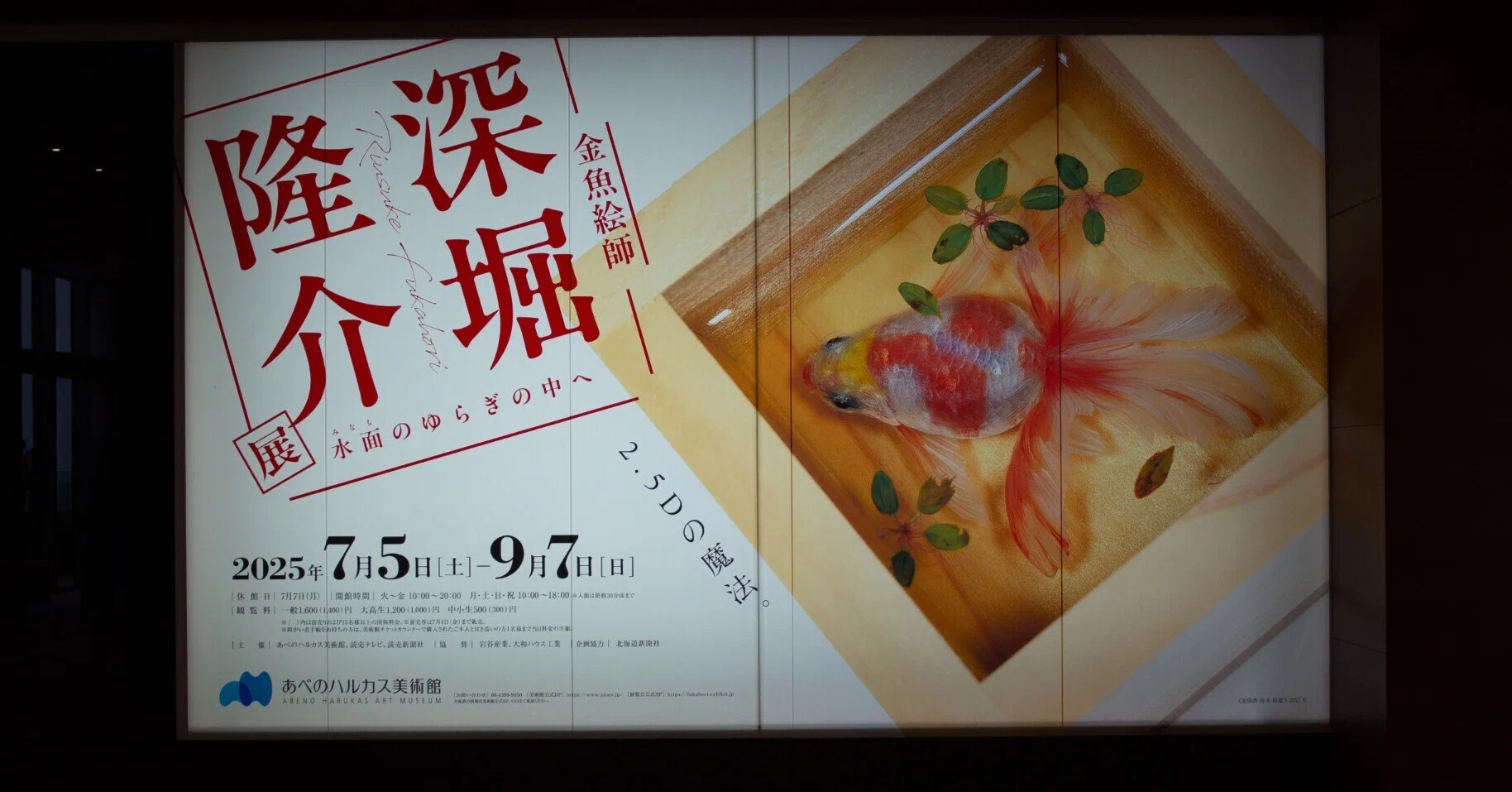 20250811 エポキシ樹脂に閉じ込められた金魚を見に行ってきた｜Ryuma