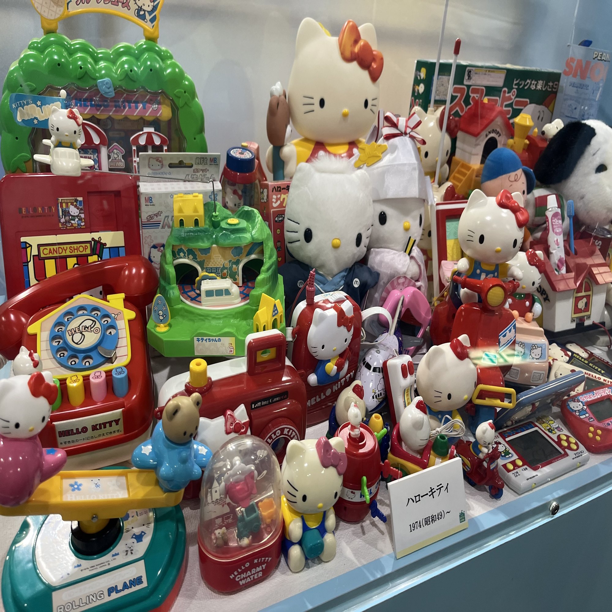 親戚の家に一泊しに行きました。壬生町おもちゃ博物館に足を運んでみ