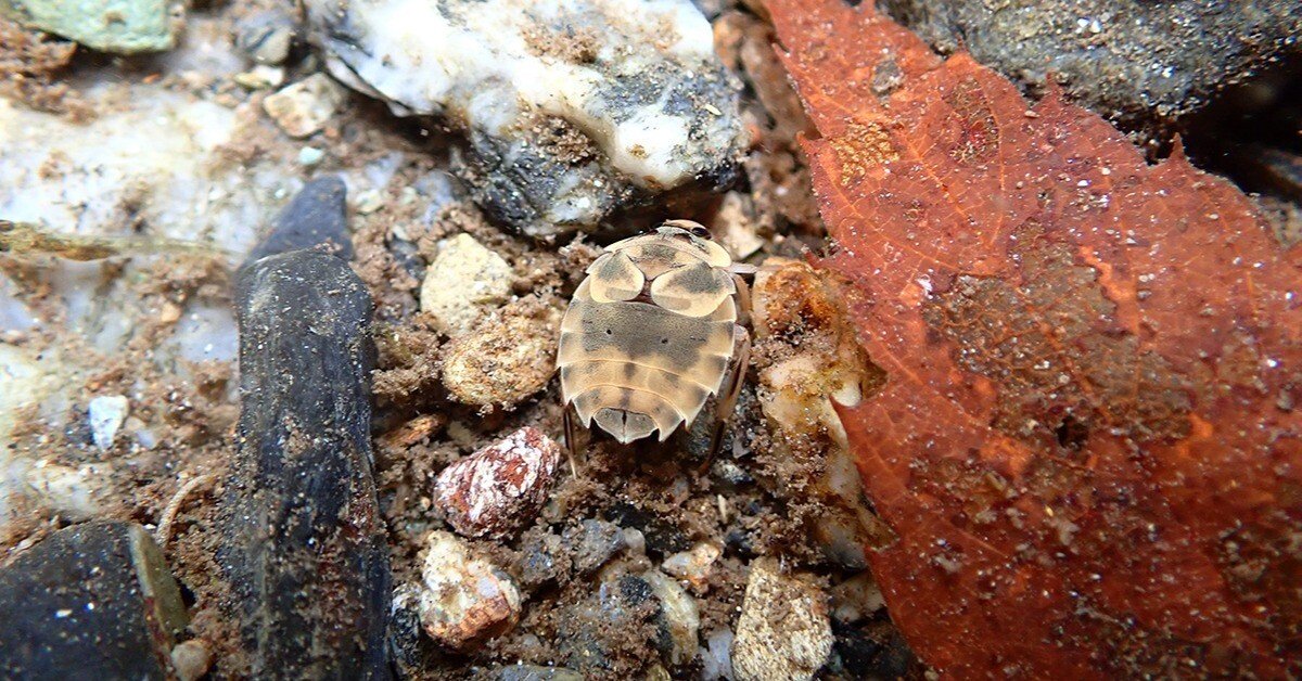 e6f1768b8810a64e9f50f7fb75d16d