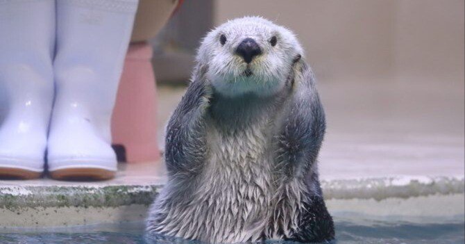 191af457a4ecb70db34f56c6f42514