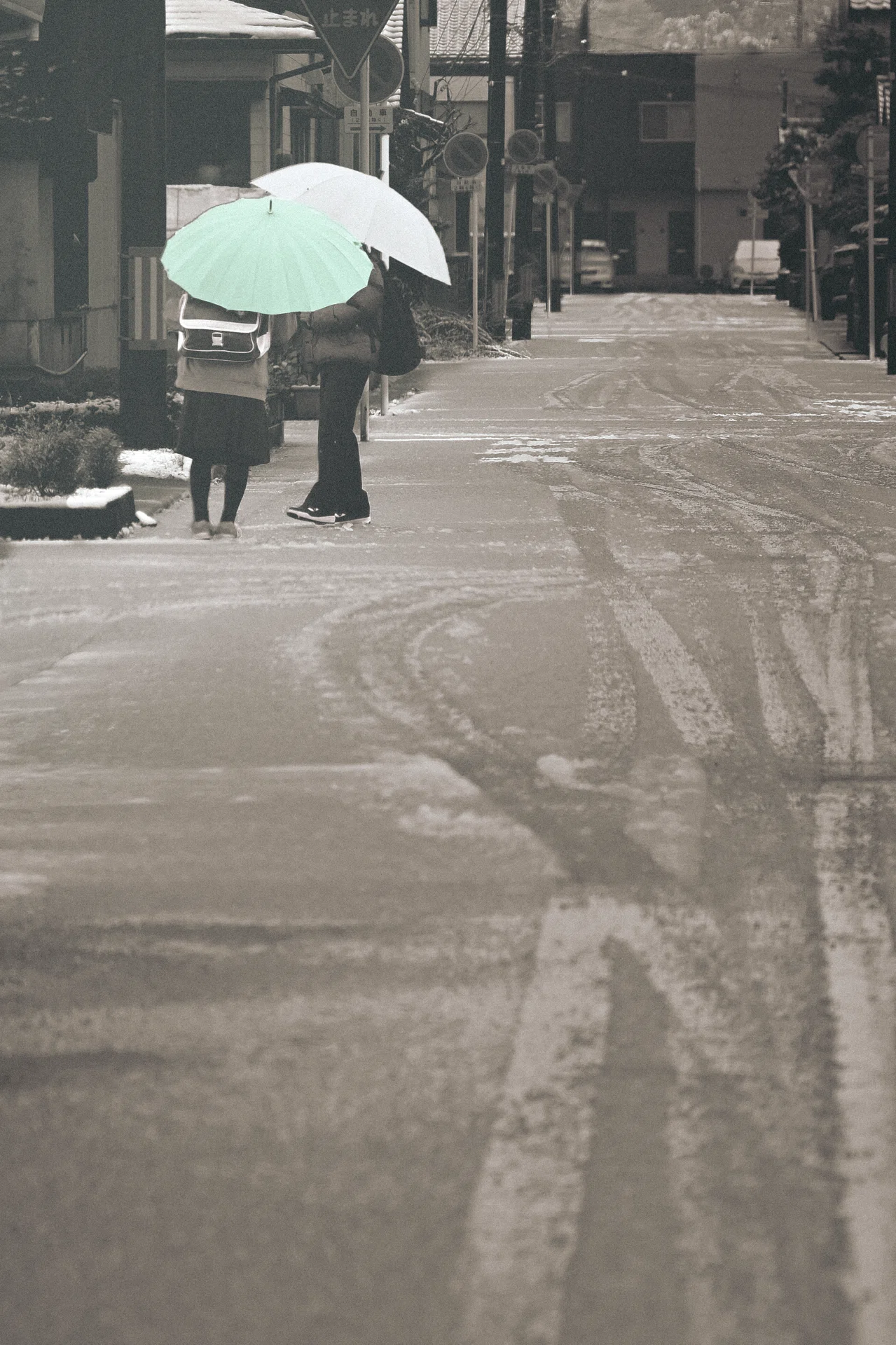 撮るものがない…とカメラを触らなくなってしまわないように｜topho_san