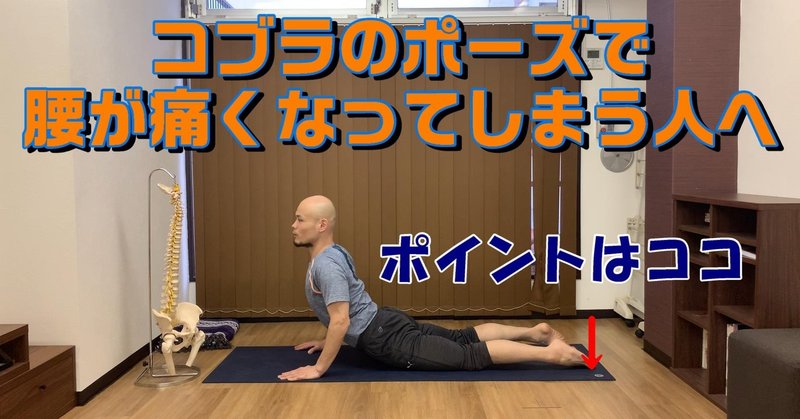 コブラのポーズで腰が痛くならない為の下半身の使い方について 身体の硬い人の為のパーソナルヨガスタジオ顔晴る がんばる ジム Note