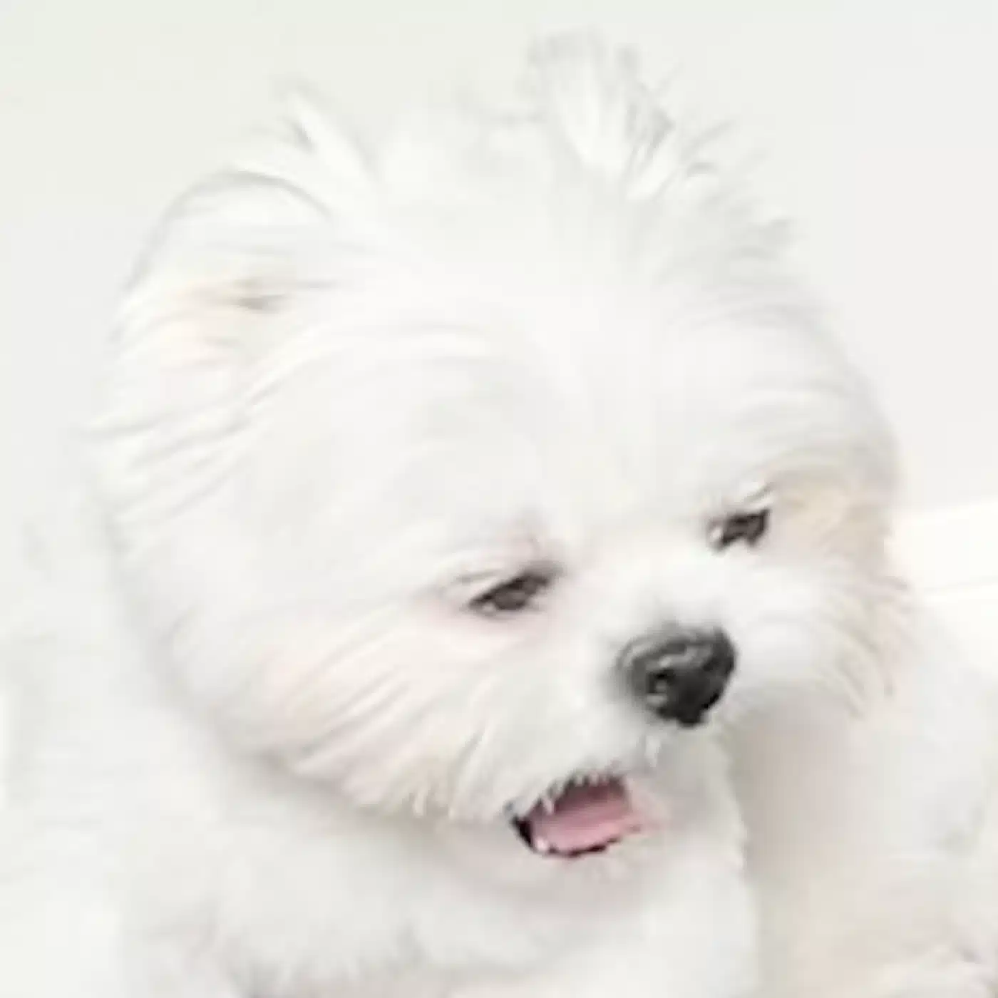 瞬き