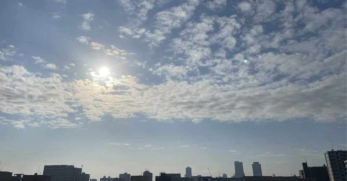 透く雲よ言われて見れば今朝の秋|Kusabue/現代俳句