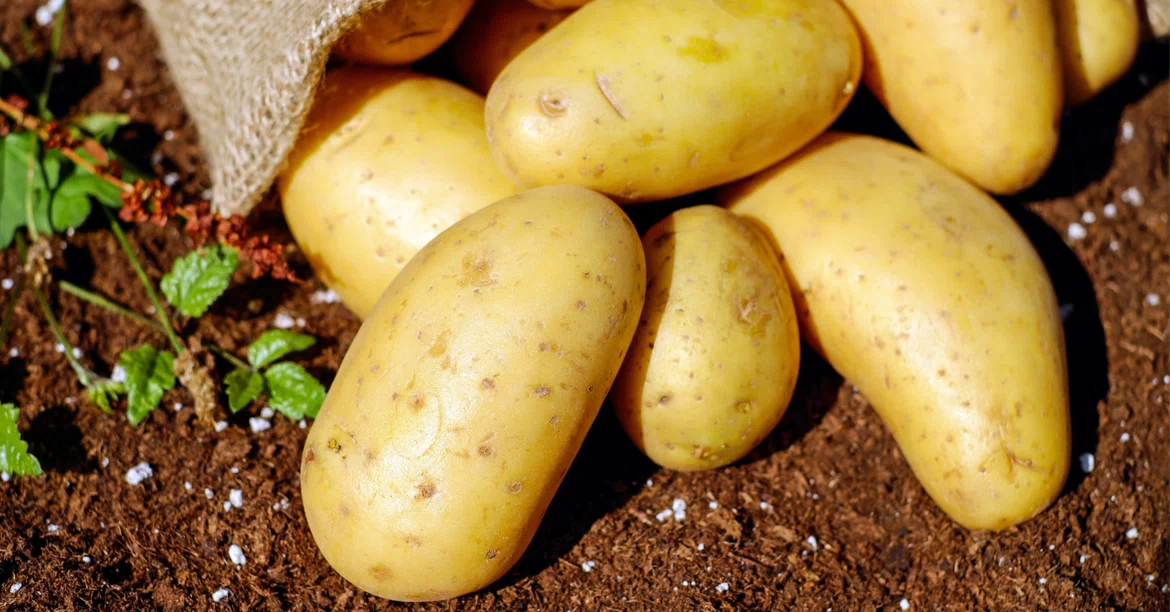 [Explained by a Registered Dietitian] Taro or Potato: Which Should You ...