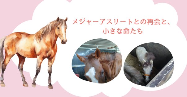馬の瞳を見つめて(増補版)23｜渡辺はるみ