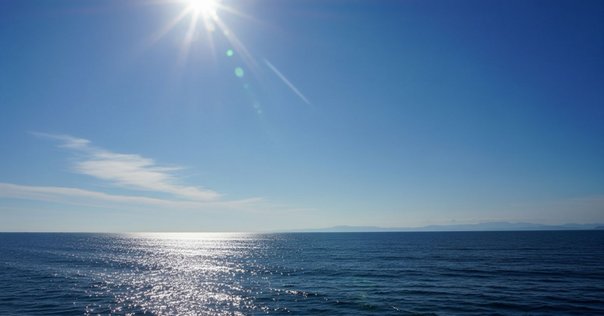 浮世絵、皇国二十四功大久保彦左衛門忠教、歌川芳年画 皇国二十四功 大久保彦左衛門忠教｜月岡芳年コレクター