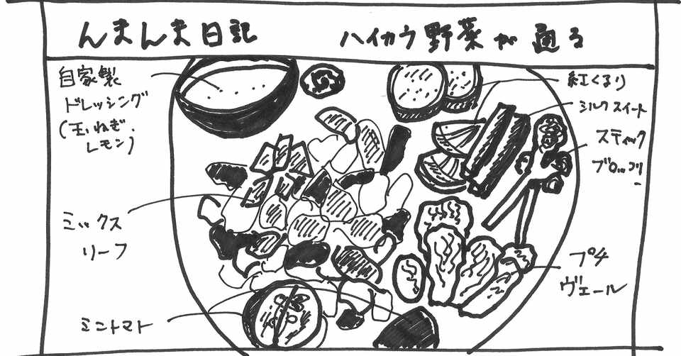 ハイカラ野菜が通る 中澤日菜子 世界文化社 公式note