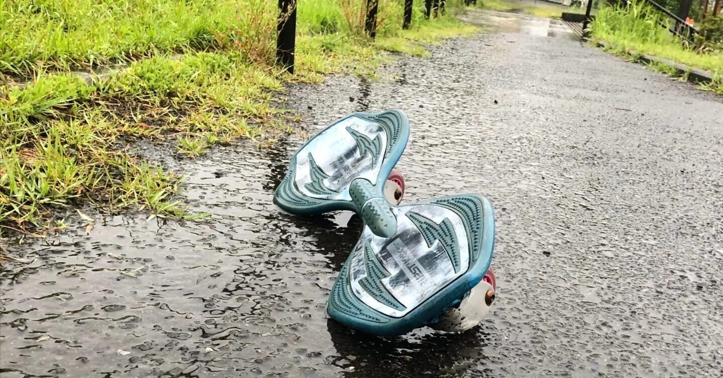 雨上がりの朝は、カメラに素敵がいっぱい｜studio summit