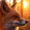 🦊 天空の狐, CFTe 『BOTトレーダーのトレード日誌』