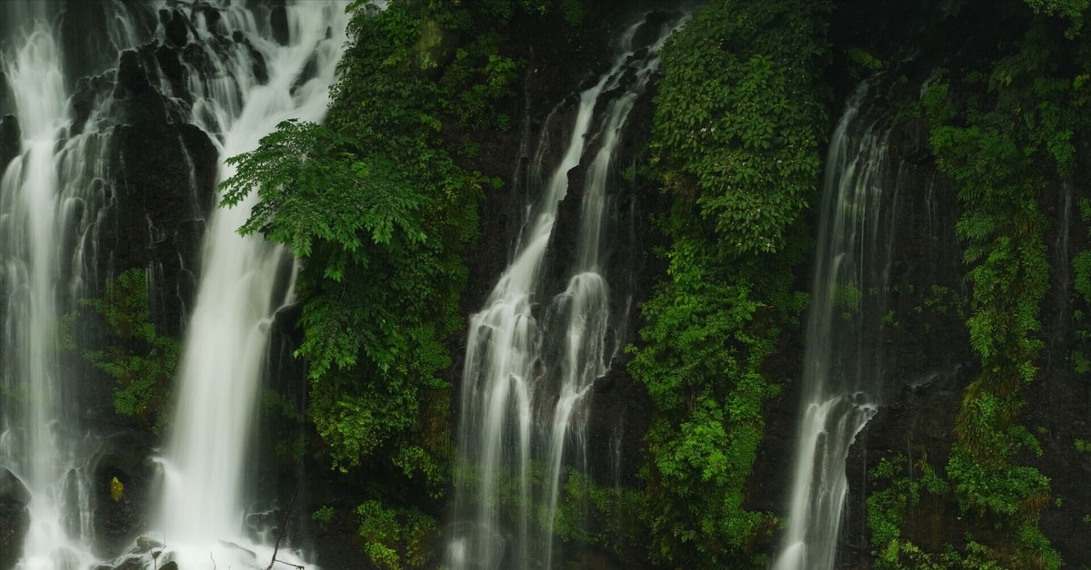 中村左洲　 滝の風景 💦迫力満点の滝と世界一の甌穴群💦 / 📍#都城市 #関之尾滝 都