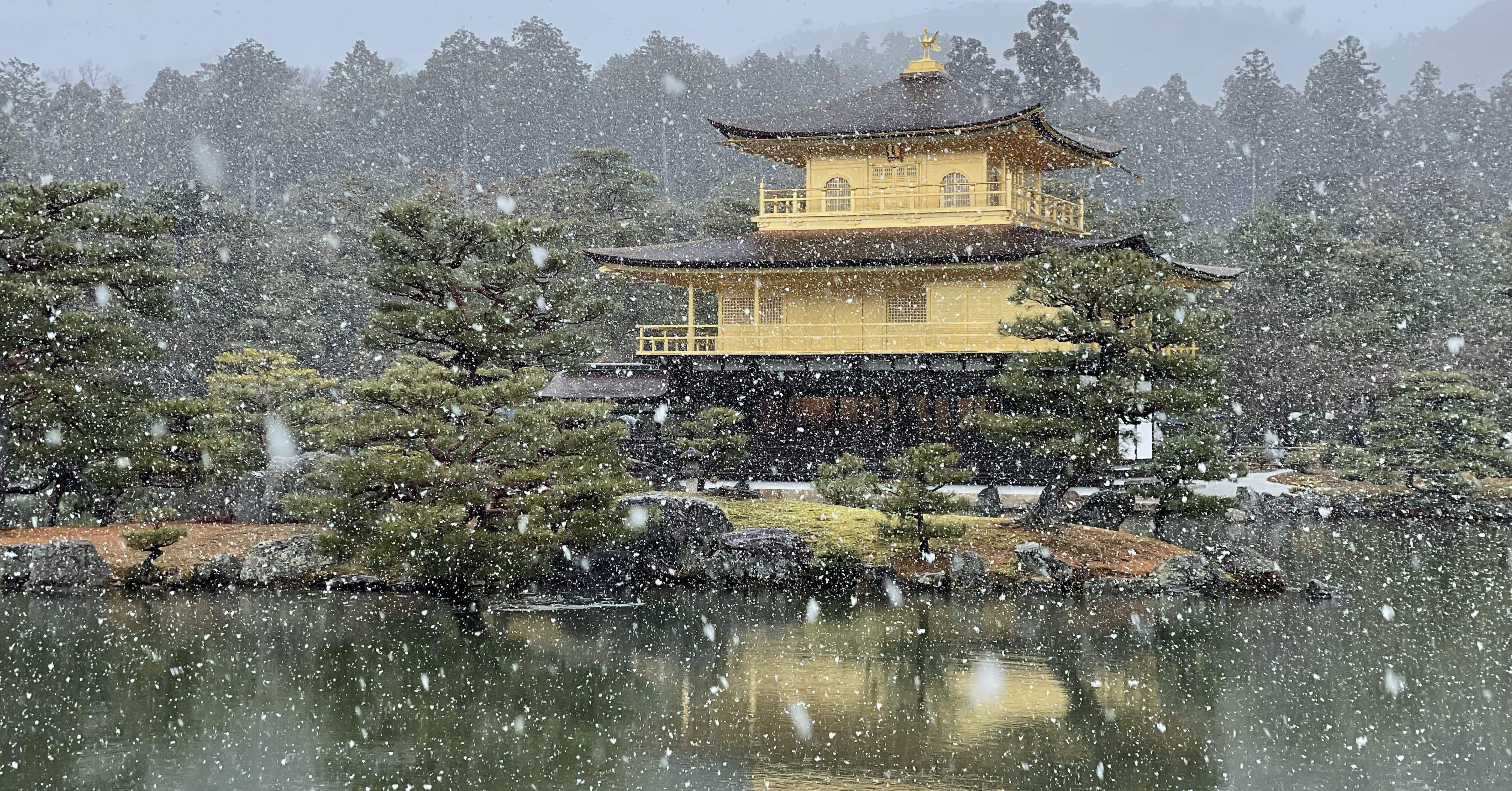 【12/13まで】美品 2286 有馬頼底 「應無新住而生無心」 臨済宗 金閣寺 12/13まで】美品 2286 有馬頼底 「應無新住而生無心」 臨済宗 金閣寺