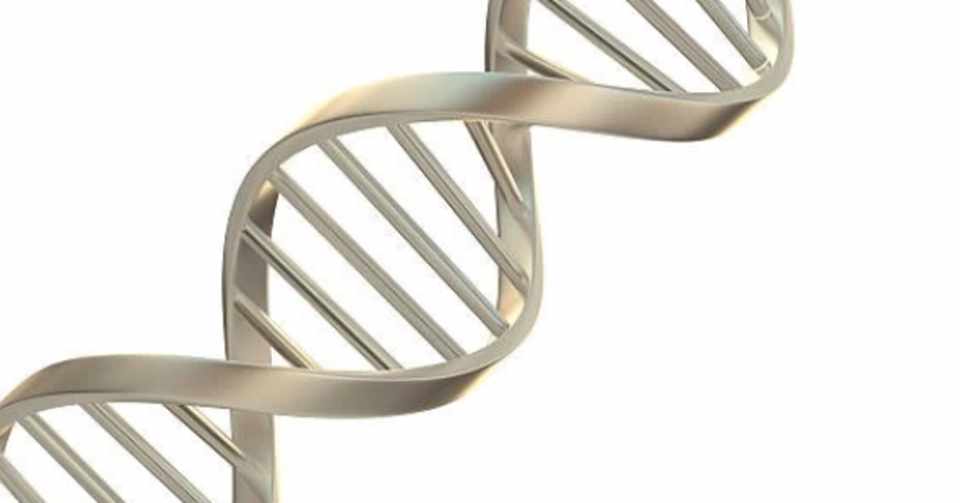 生命の遺伝情報を持つdnaは二重螺旋構造をしているというあまりにも美しくかつシンプルな事実 雅 Note