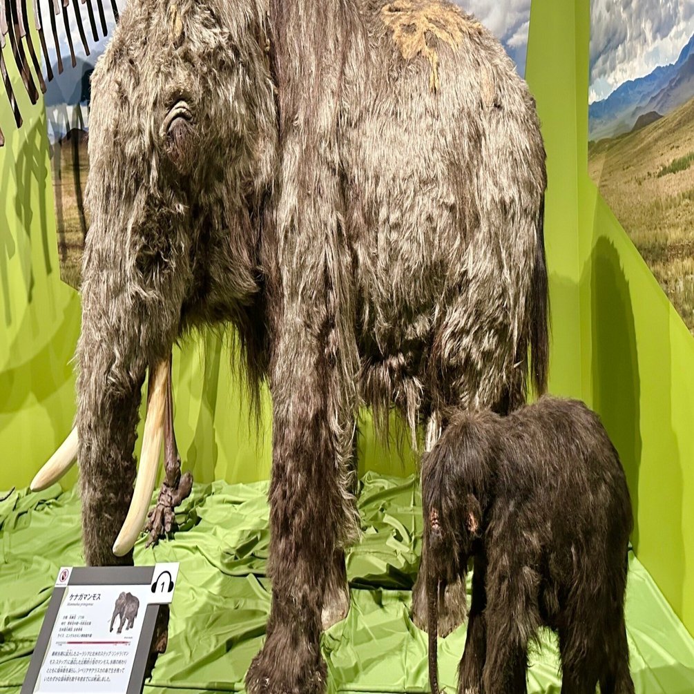 氷河期展 〜人類が見た4万年前の世界〜」（国立科学博物館）備忘録