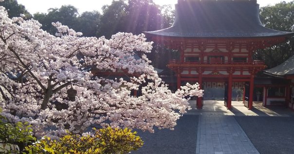 百人一首鑑賞】田子の浦にうち出でてみれば白妙の富士の高嶺に雪