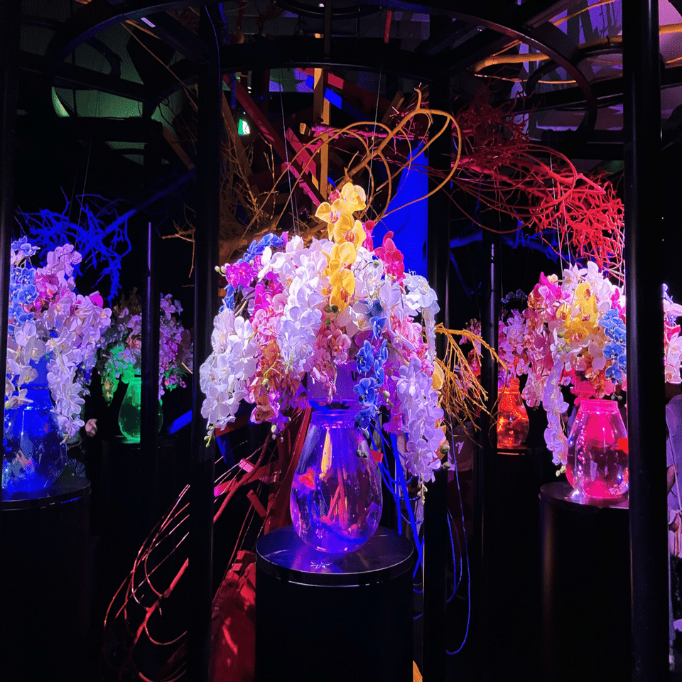 体験レポ】光と金魚に包まれる没入型空間｜アートアクアリウム展