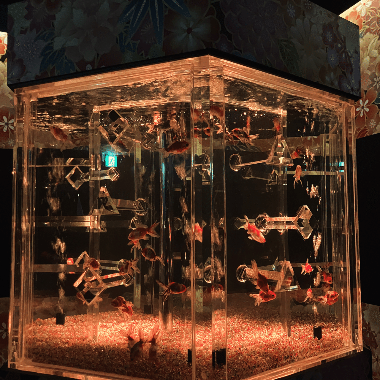 体験レポ】光と金魚に包まれる没入型空間｜アートアクアリウム展