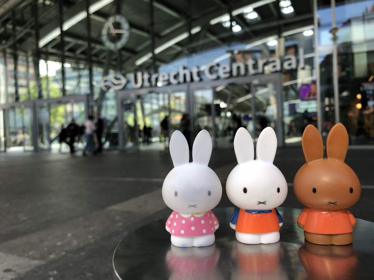 オランダの本のある場所(ときどきミッフィー)を巡る旅 ①／⑤