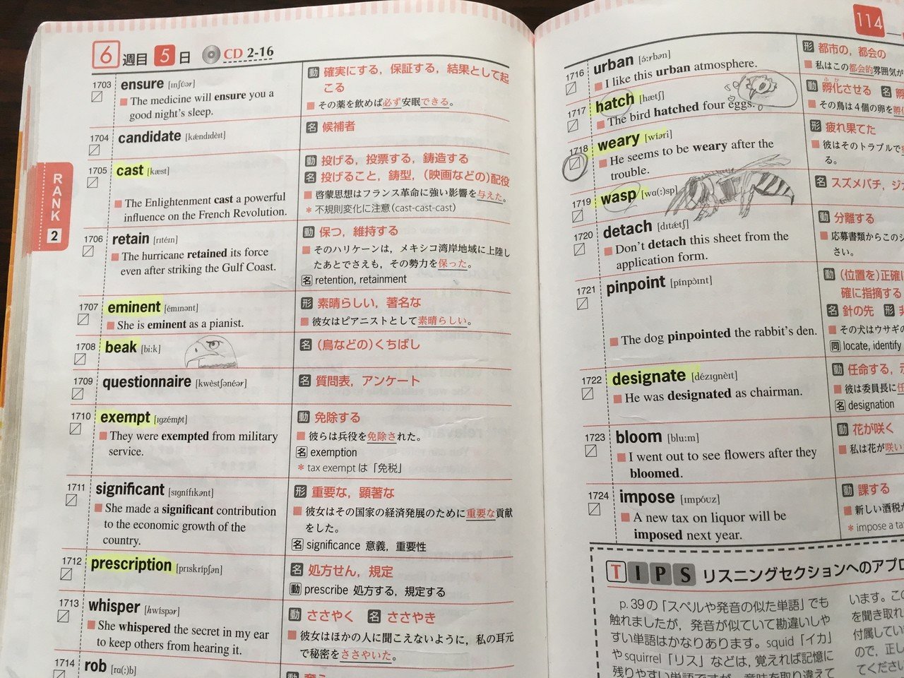 TOEFLテスト英単語3800 改訂版 (TOEFLテスト大戦略シリーズ