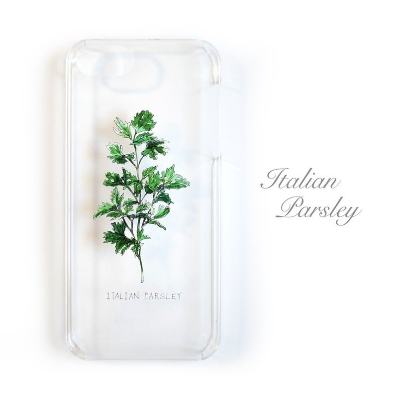 2_Herb_ItalianParsley_1透明正面