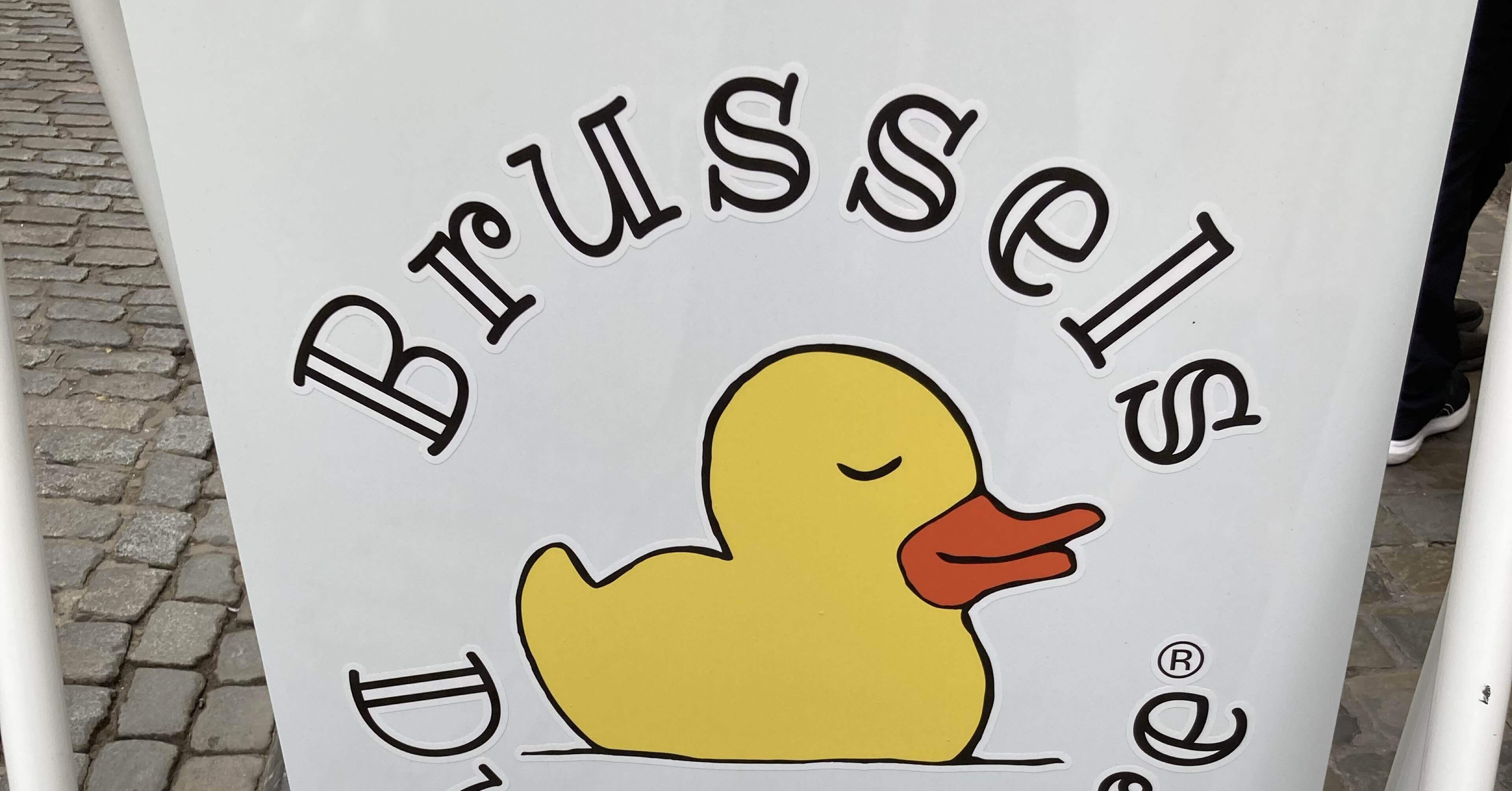 ベルギーアヒルヴィンテージ剥製 ベルギー ヴィンテージ アヒル 剥製