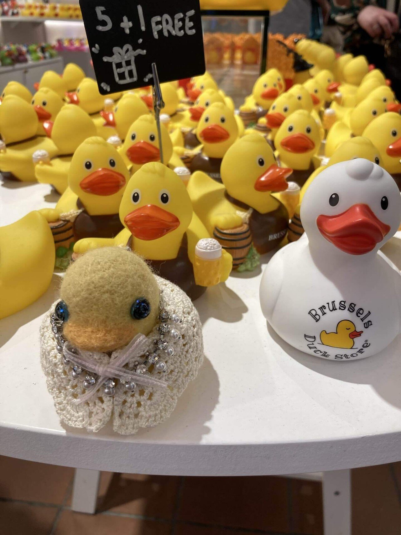 ベルギーアヒルヴィンテージ剥製 ベルギー】Brussels Duck Store｜旅するあひる