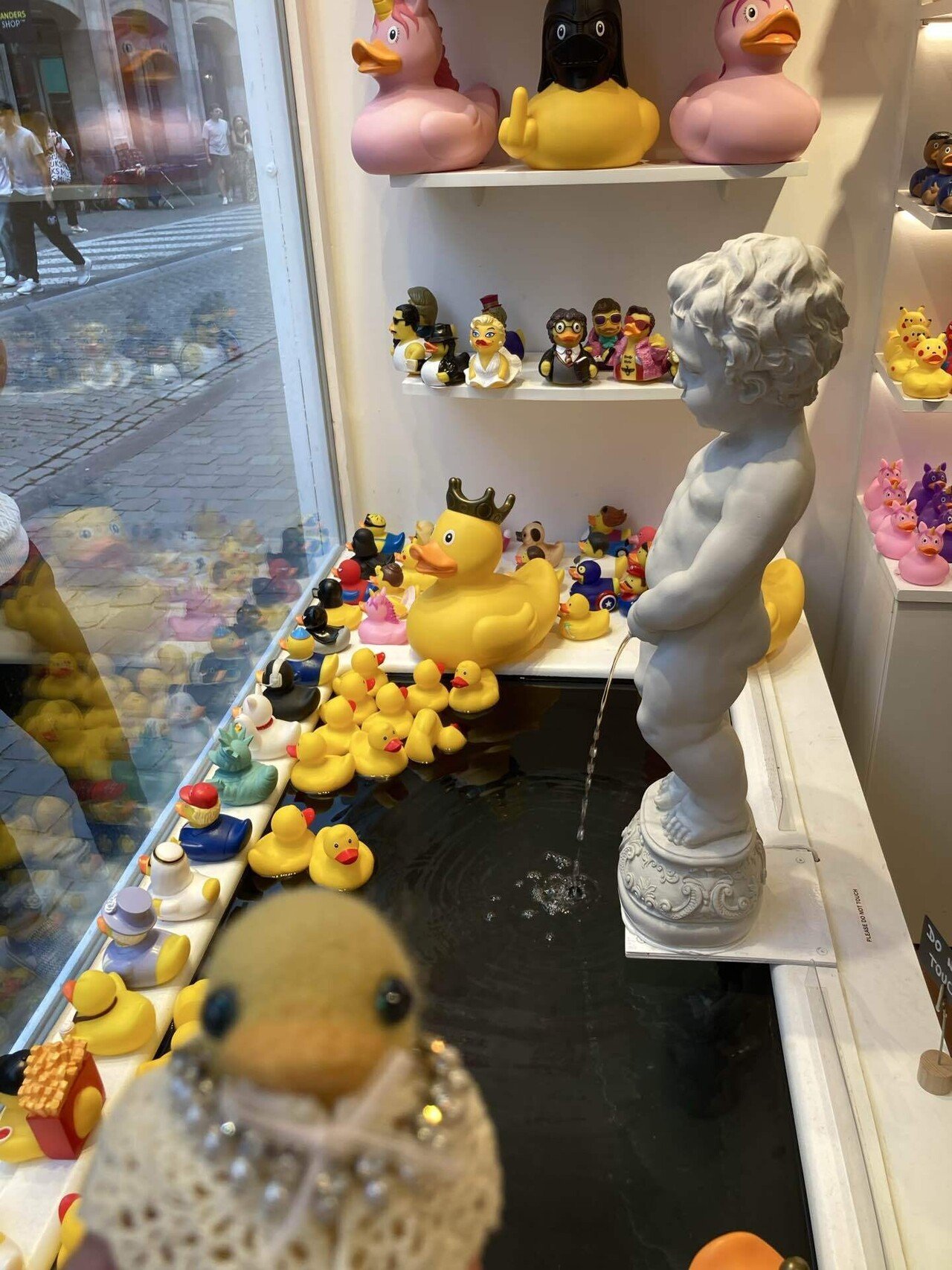 ベルギーアヒルヴィンテージ剥製 ベルギー ヴィンテージ アヒル 剥製