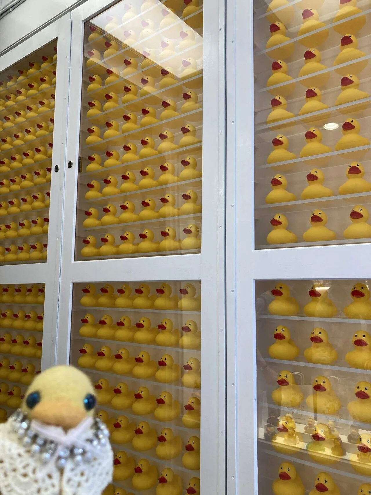 ベルギー】Brussels Duck Store｜旅するあひる