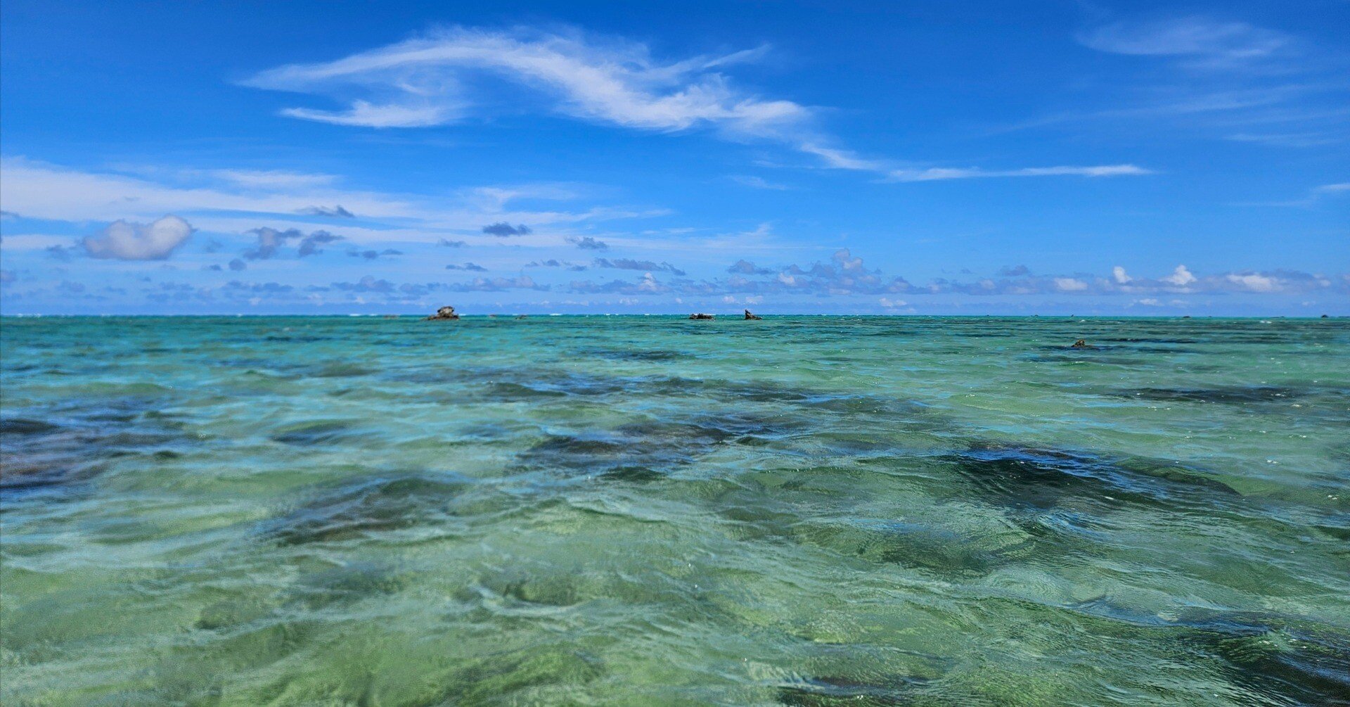 海の風景 AIと自由研究｜僕の見た「緑の海」とAIの答え｜ゆとりのある男