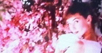 365日色の話＋ オードリー・ヘップバーンは「ピンクを信じていた