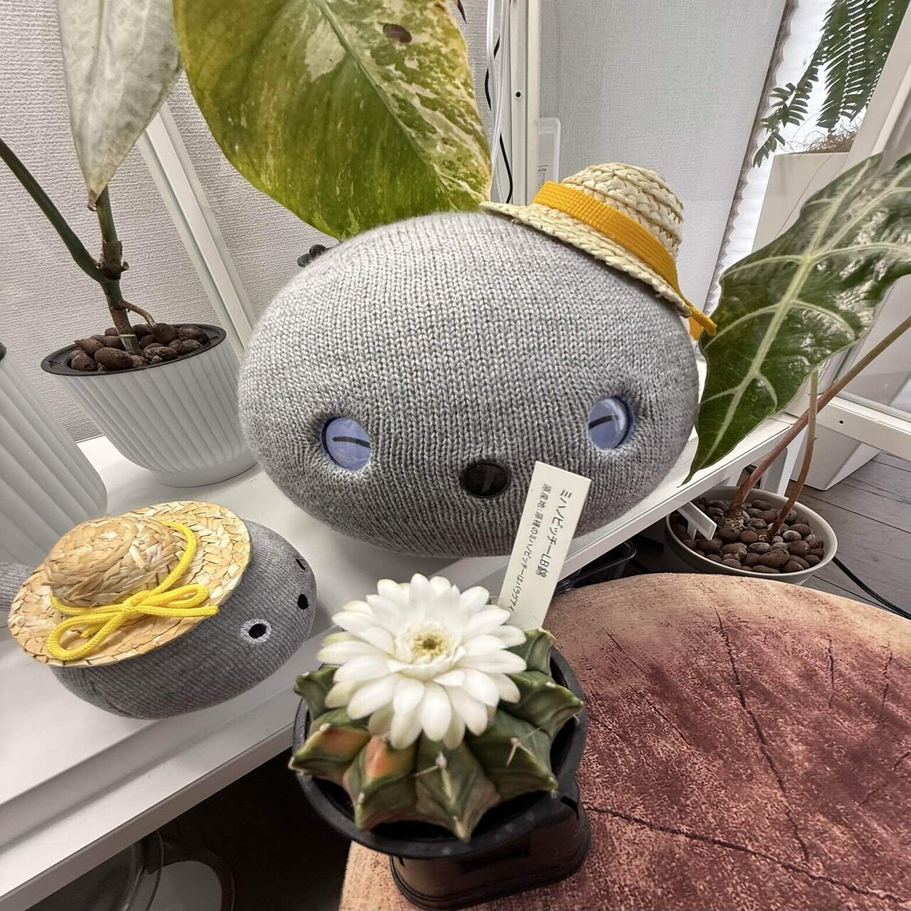 ニコボ紹介コード】5,000コインもらえる！ニコボお友達紹介キャンペーンの使い方まとめ｜peewee_wm