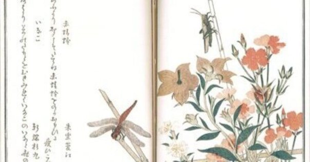 君は隅田川に消えたのか 藤牧義夫と版画の虚実  /講談社/駒村吉重（単行本） Amazon.co.jp: 君は隅田川に消えたのか -藤牧義夫と版画の虚実