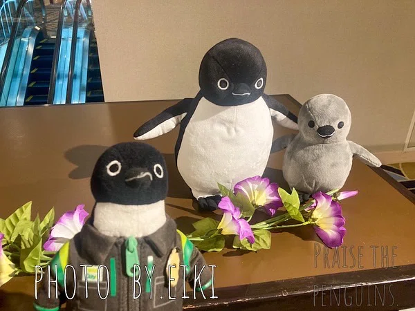 メルペイペンギン様専用【2点】 ホテルメトロポリタン池袋 Suica
