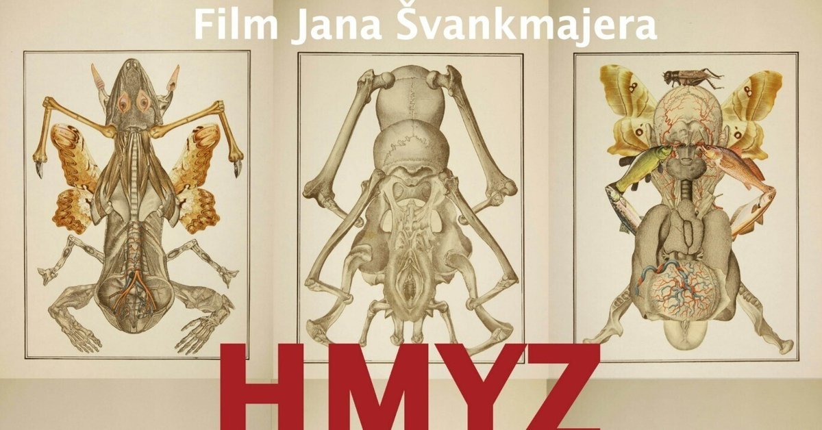 ヤン・シュヴァンクマイエル 蟲 HMYZ INSECT DVD ヤン・シュヴァンク