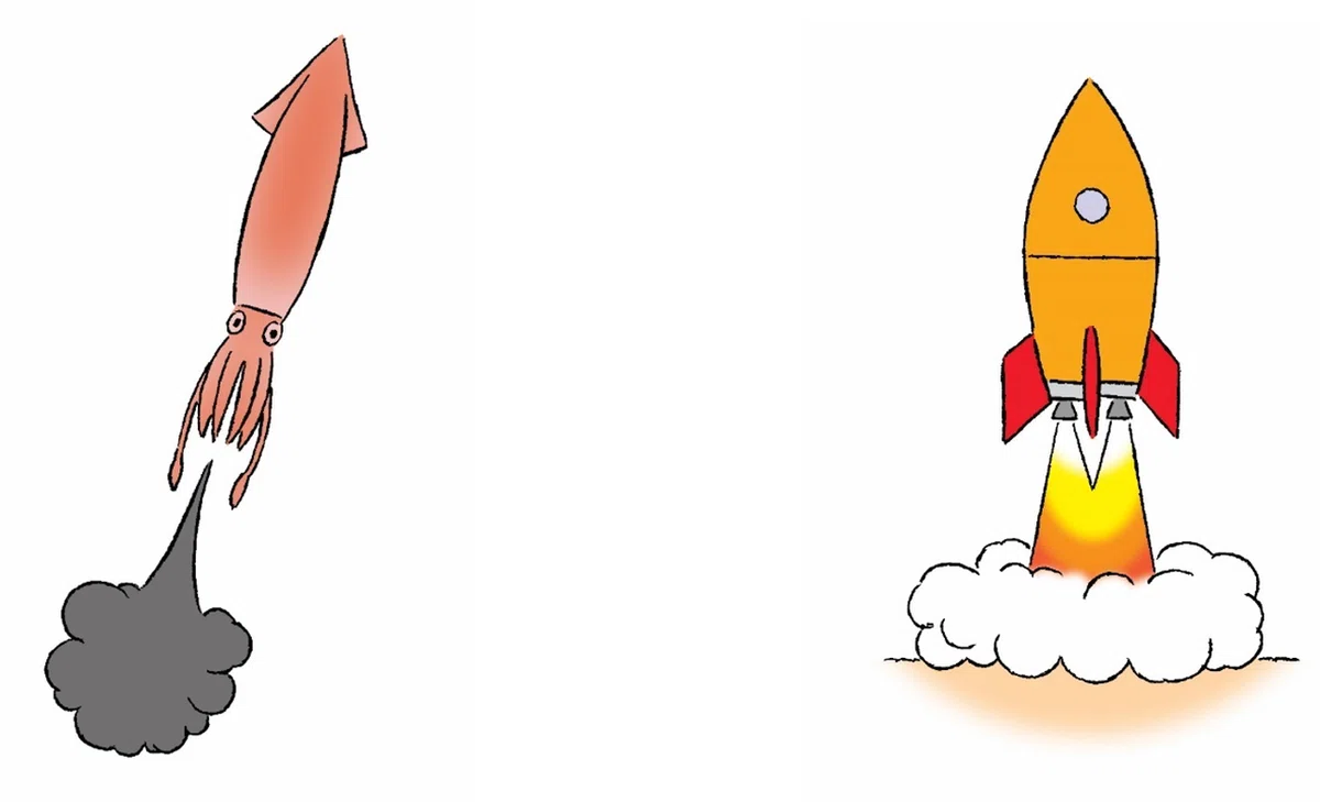 イカとロケットの同じところは？ 「異なるものの中から同じをみつける