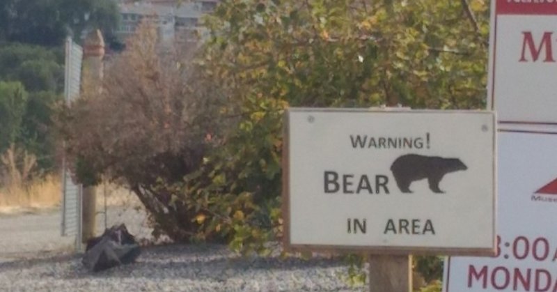 日本人に外国人アレルギーが多いのはなぜか ぶらうん えみこ connect the world代表 note