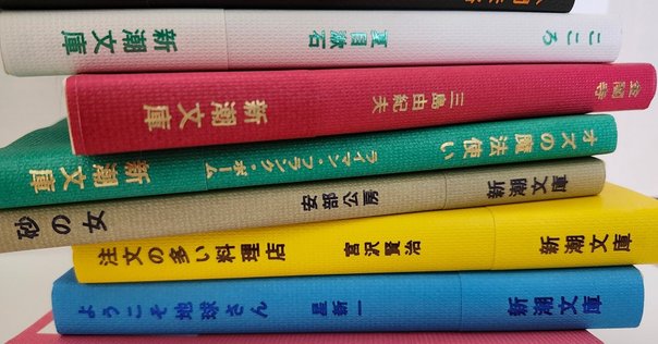 岩波書店 『 新装版 大江健三郎同時代論集 』 カバー加工