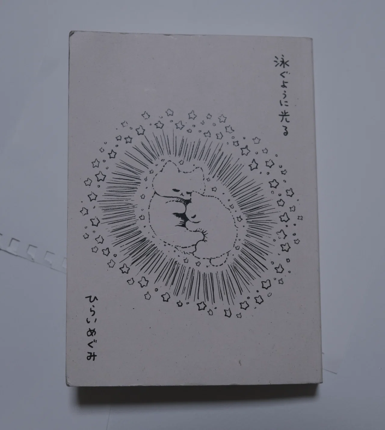 保存版】日記ZINEを作る前に読んでよかった日記本9選｜股野二十日