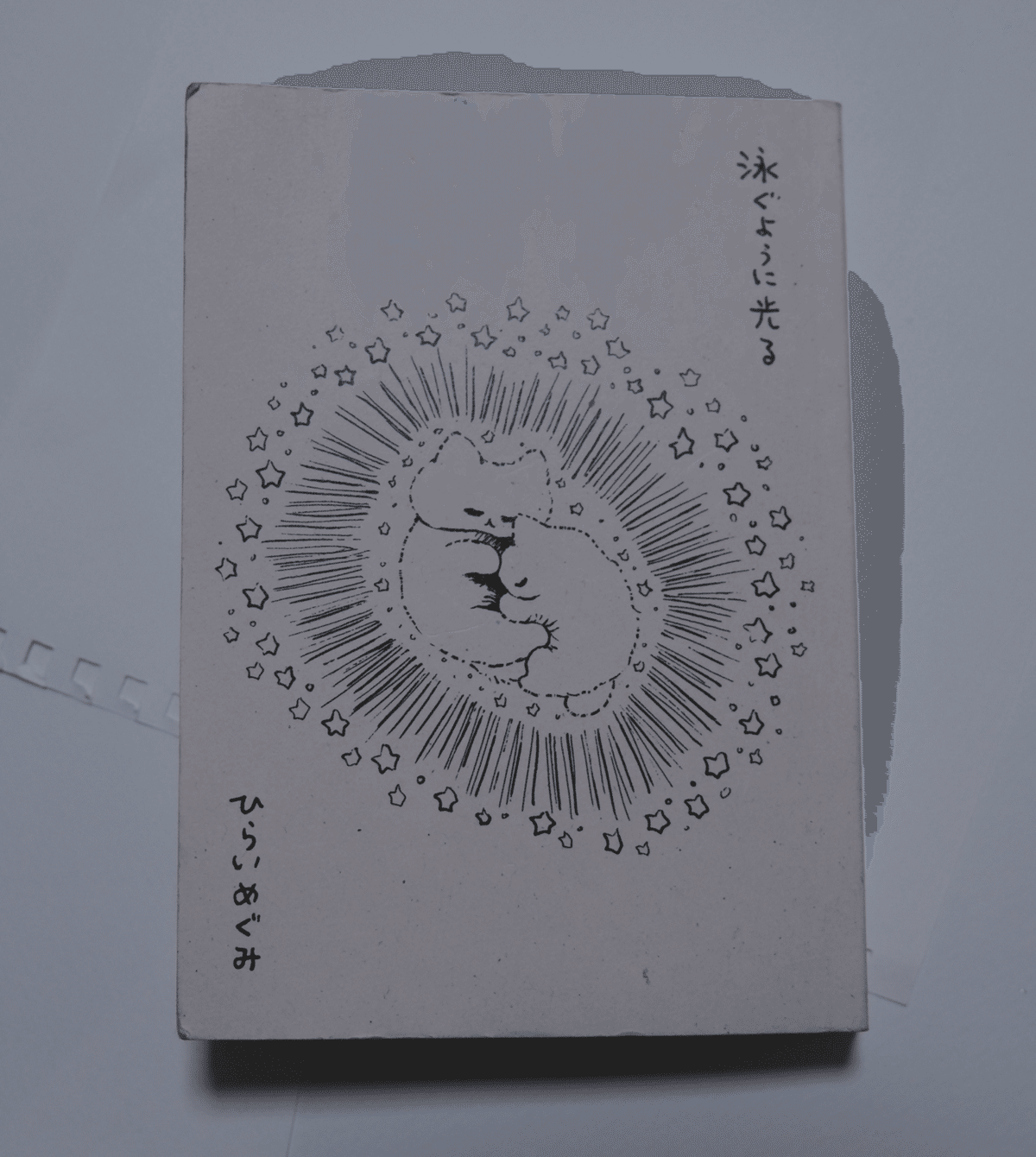 保存版】日記ZINEを作る前に読んでよかった日記本9選｜股野 なお