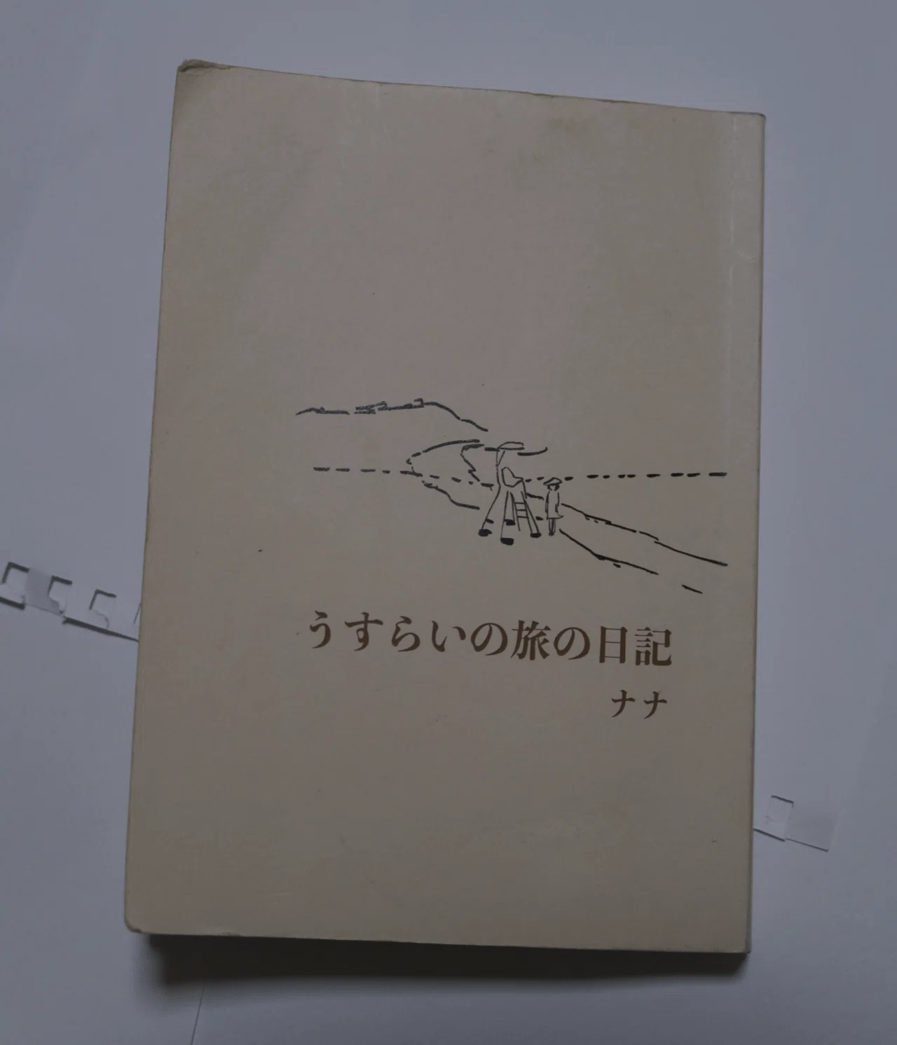 日記のようなもの 保存版】日記ZINEを作る前に読んでよかった日記本9選｜股野二十日