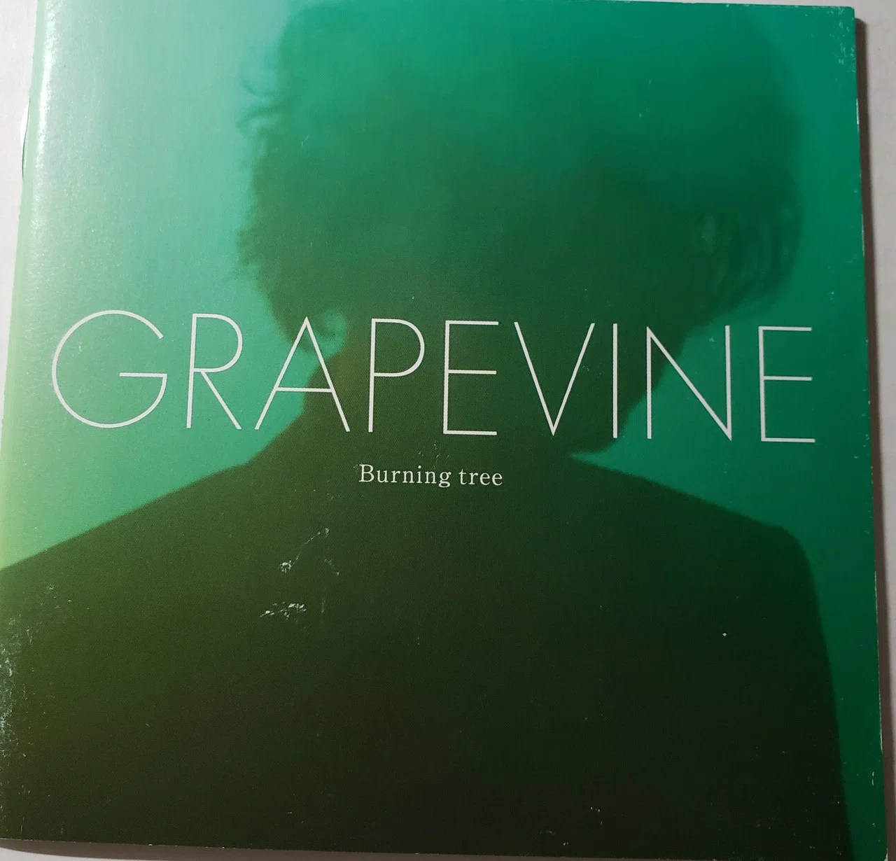 GRAPEVINEを勝手に掘り下げる 2.Burning tree｜六花