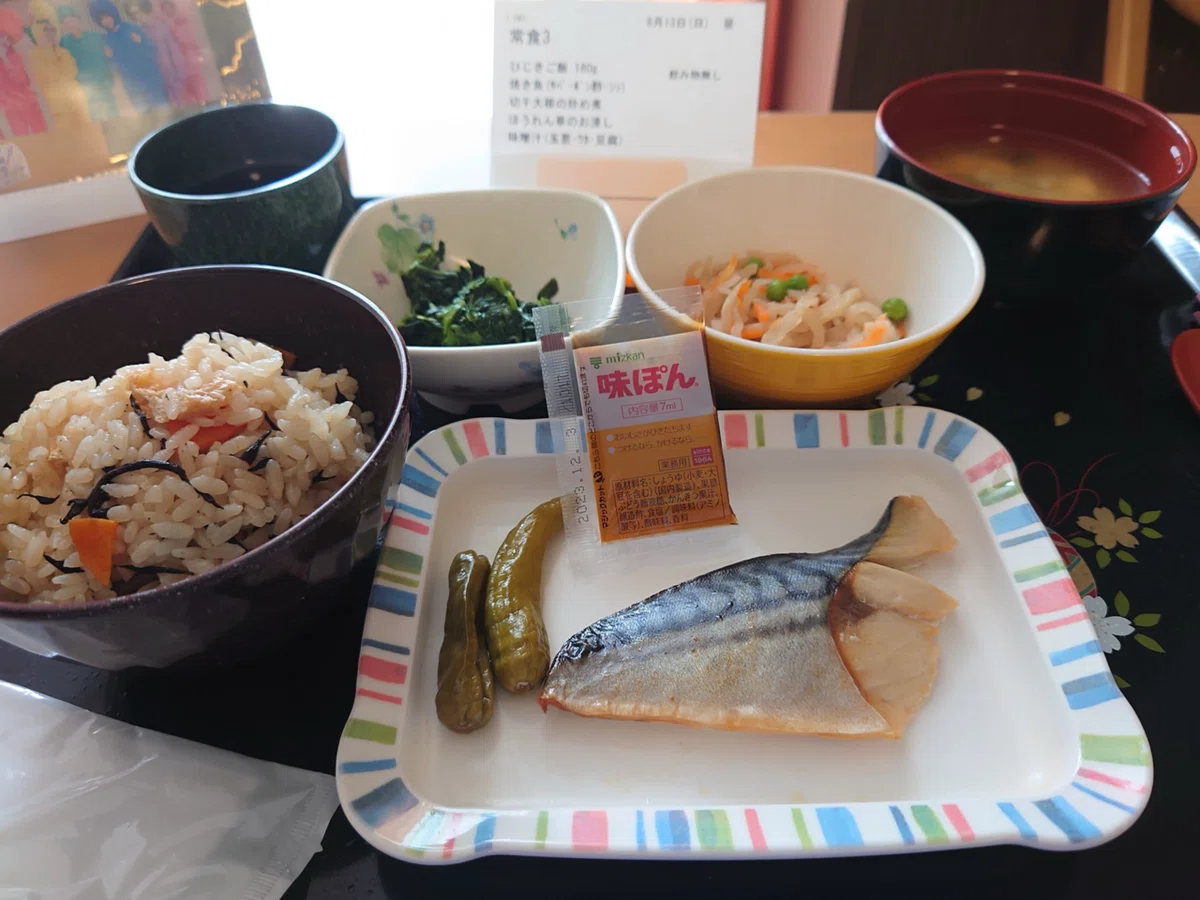 [Meals and Diaries] Day 39: (August 13) | Regular Diet | The Heat, the ...