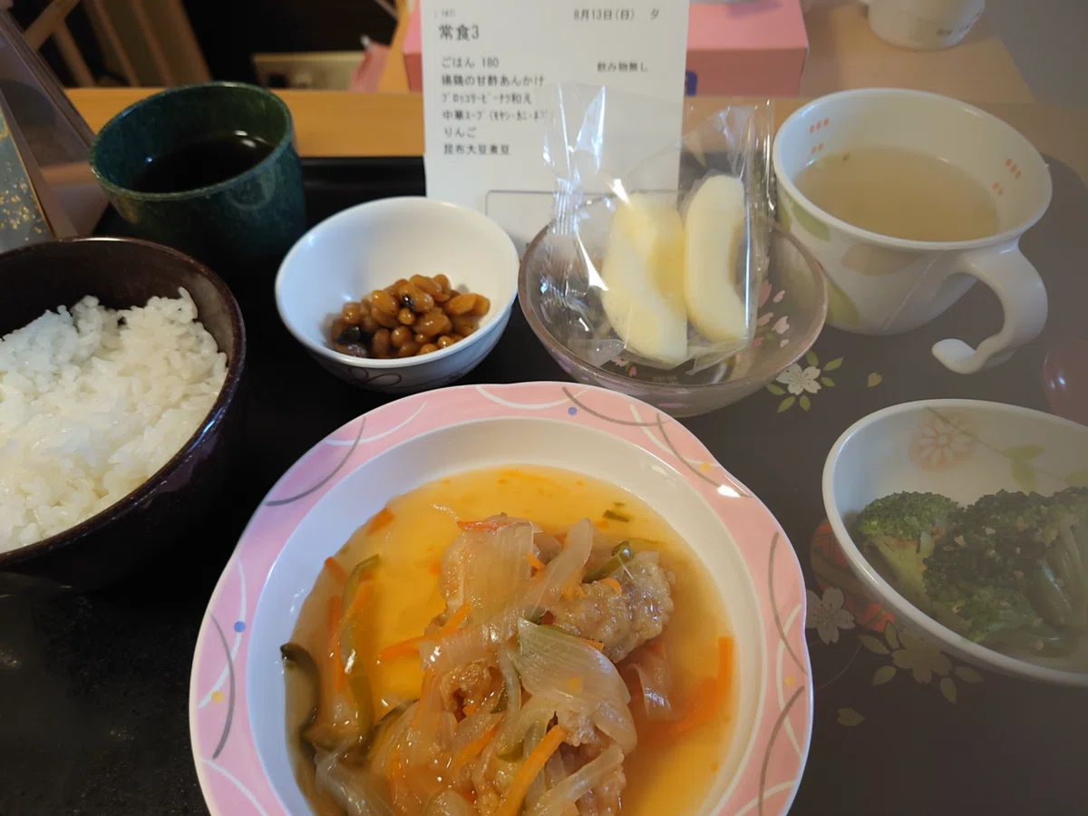 [Meals and Diaries] Day 39: (August 13) | Regular Diet | The Heat, the ...