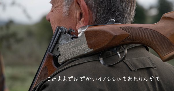 私的！これさえあればクレー射撃始められるセット！｜ゆーとぴあ