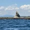 僕の釣り具研究所