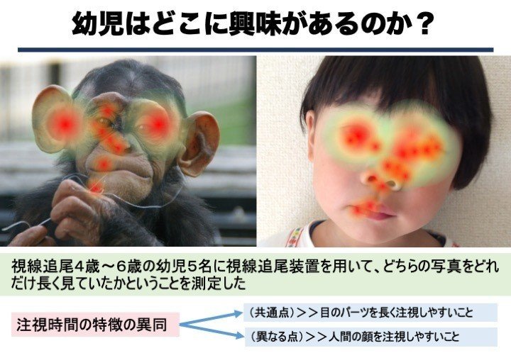 No 12 育児 教育 視線の心理学 2 ヒトはどうして人の目を見るのか 今井 正司 Note No 12 育児 教育 視線の心理学 2 ヒトはどうして人の目を見るのか 今井 正司 Note