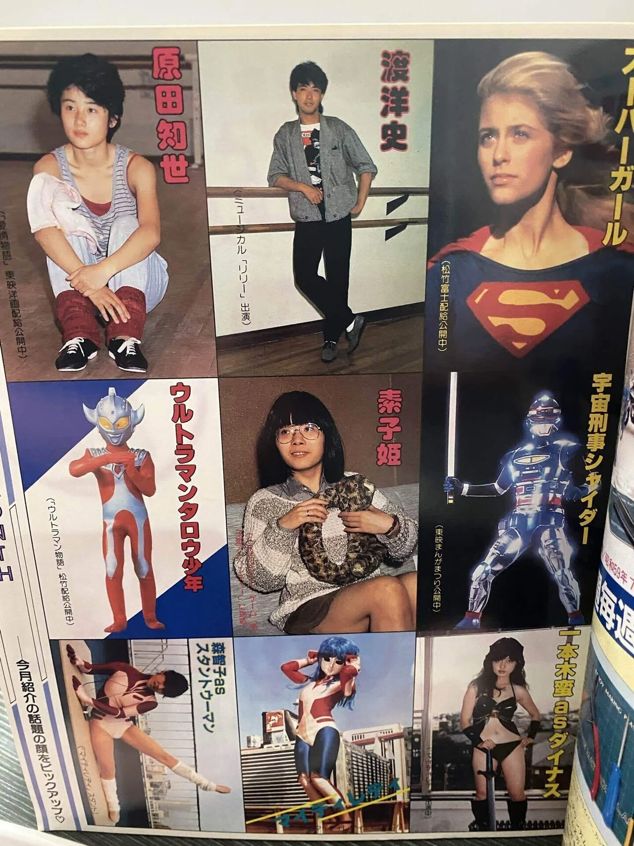 41年前のファンロードをちょい見てみる｜ひやたぬ